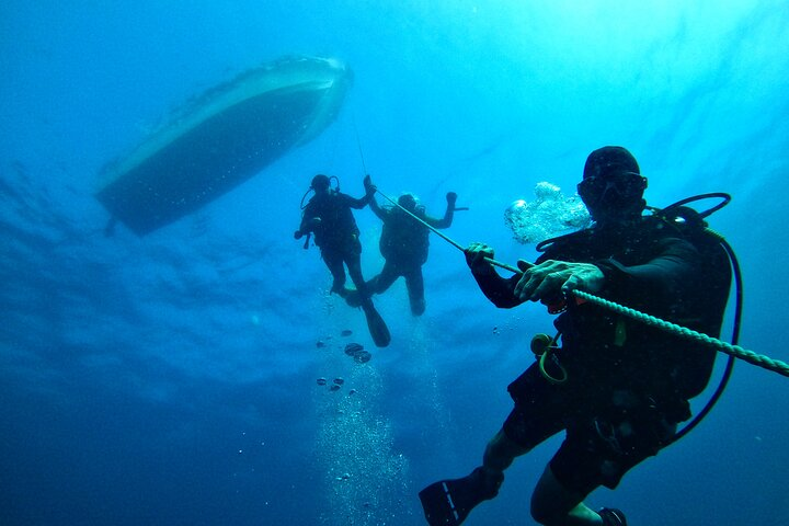 Diving in Colombo - Photo 1 of 14